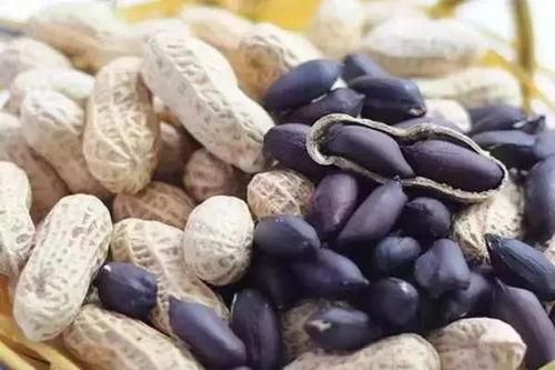 网红黑料吃瓜黑料正能量,一场网络舆论的蜕变之旅  第3张